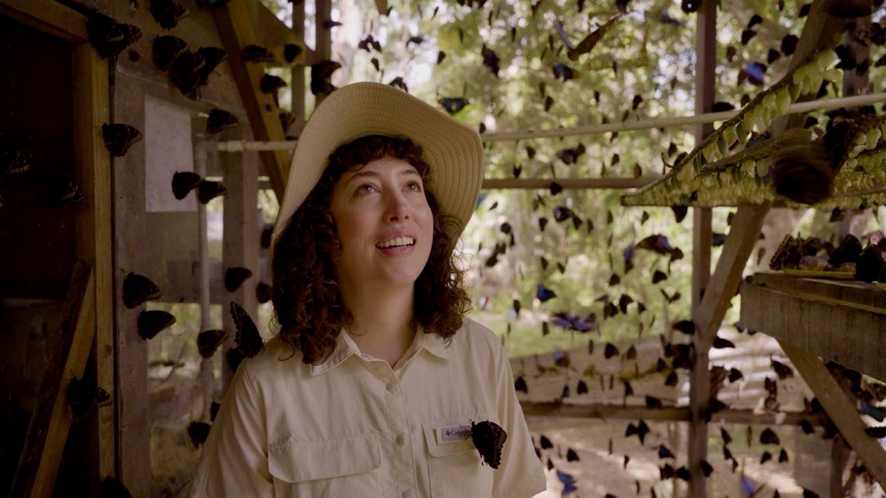 Iona Horton surrounded by butterflies in a breeding facility